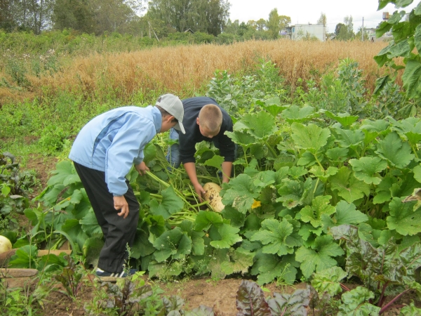 Урожай 2012